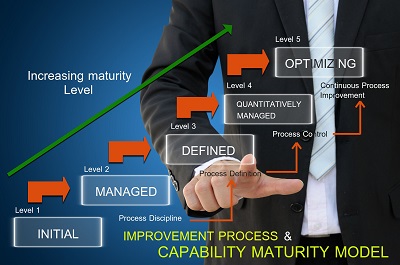 IT Maturity Model